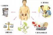 为什么会出现少白头？早知道这些原因就好了！