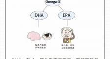 为什么要补充DHA、EPA？