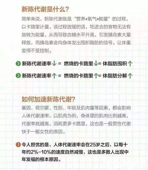 然倍速绿咖啡豆压片糖果