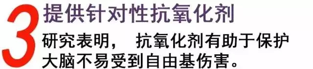 美乐家马齿苋压片糖果