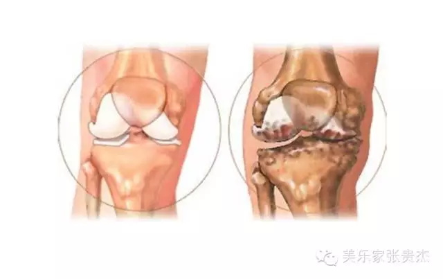 美乐家径捷能果味饮料