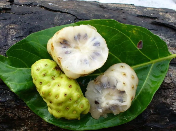 诺丽复合果汁