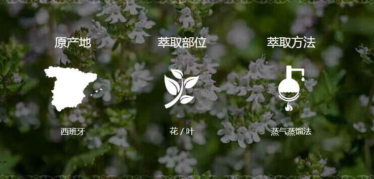 美乐家纯质百里香精油