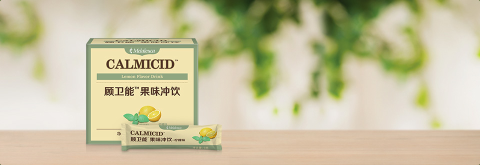顾卫能果味冲饮-柠檬味