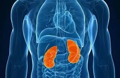 人体也有保质期