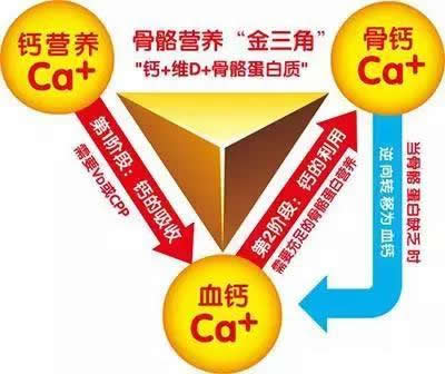 “钙”不是单纯的“骨头”问题