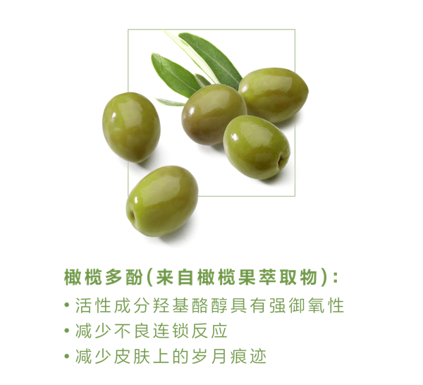 美乐家绿茶压片糖果对女人美容的六大功效：增加皮肤弹性、除皱、祛斑、美白肌肤、保湿、清除痤疮