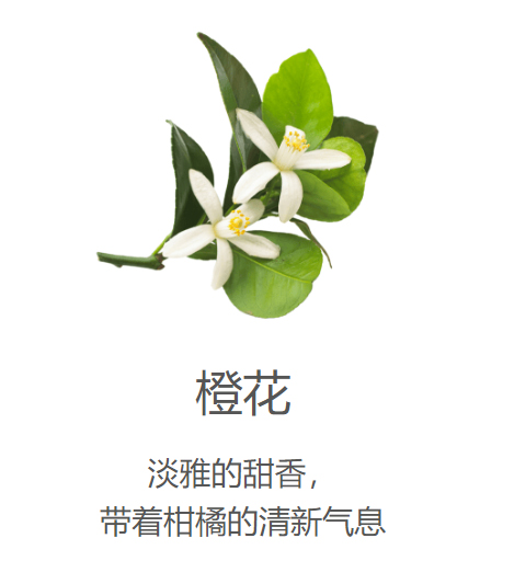 美乐家纯质好梦精油滚珠
