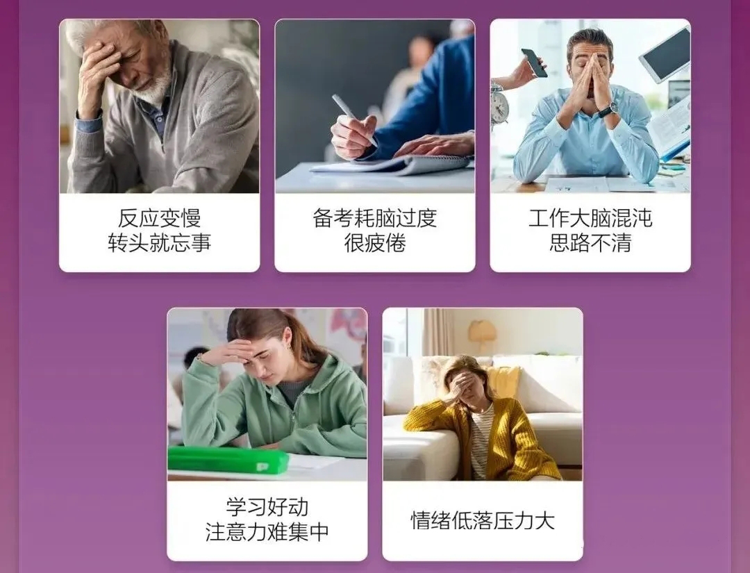 磷脂酰丝氨酸提升大脑记忆力