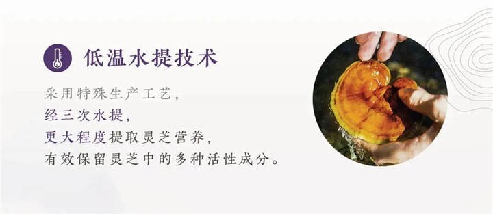 美乐家灵芝胶囊