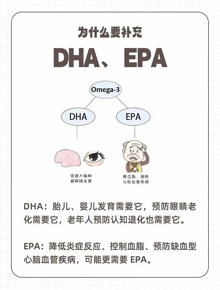 为什么要补充DHA、EPA