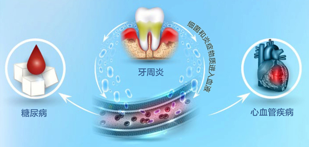 美乐家生命活力营养宝典-口腔健康 保护牙齿