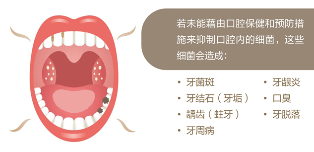 美乐家生命活力营养宝典-口腔健康 保护牙齿