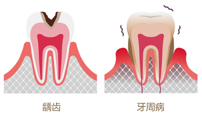 美乐家生命活力营养宝典-口腔健康 保护牙齿