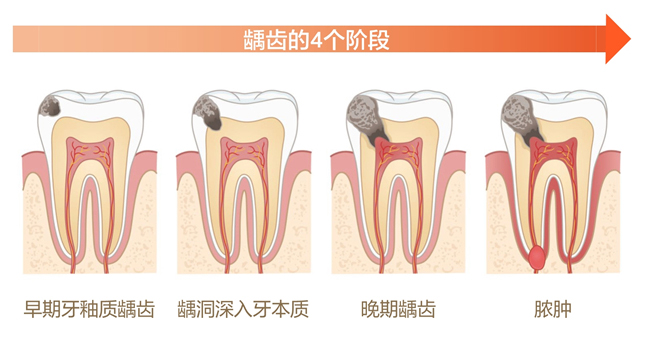 美乐家生命活力营养宝典-口腔健康 保护牙齿