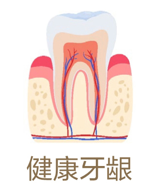 美乐家生命活力营养宝典-口腔健康 保护牙齿