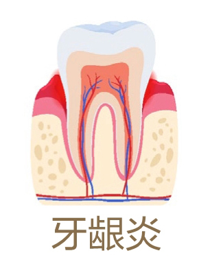 美乐家生命活力营养宝典-口腔健康 保护牙齿