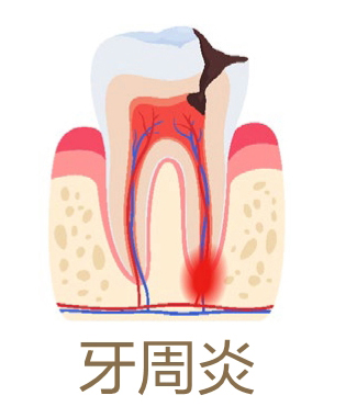 美乐家生命活力营养宝典-口腔健康 保护牙齿