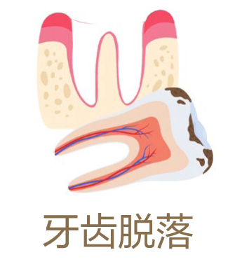 美乐家生命活力营养宝典-口腔健康 保护牙齿