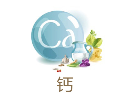美乐家生命活力营养宝典-口腔健康 保护牙齿