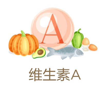 美乐家生命活力营养宝典-口腔健康 保护牙齿