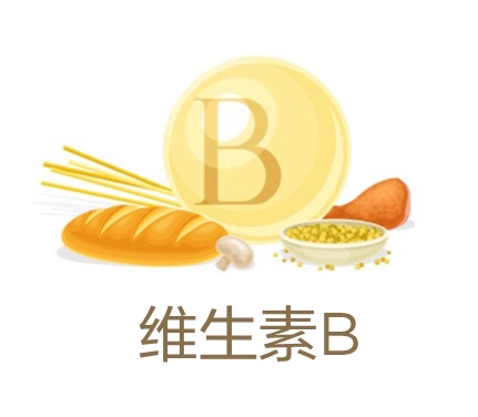 美乐家生命活力营养宝典-口腔健康 保护牙齿