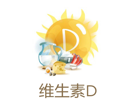 美乐家生命活力营养宝典-口腔健康 保护牙齿