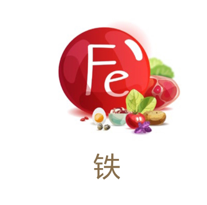 美乐家生命活力营养宝典-口腔健康 保护牙齿