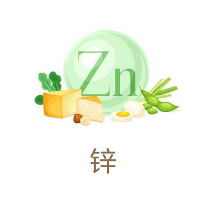 美乐家生命活力营养宝典-口腔健康 保护牙齿