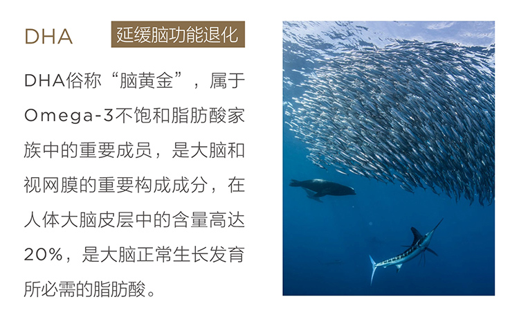 美乐家生命活力营养宝典-大脑亚健康 美乐家生命活力营养宝典-大脑亚健康