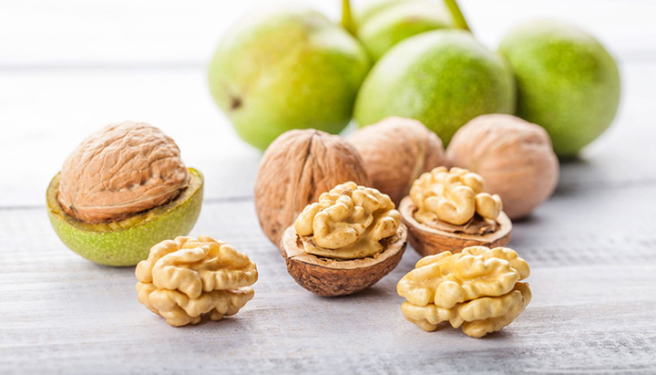 美乐家生命活力营养宝典-大脑亚健康 美乐家生命活力营养宝典-大脑亚健康