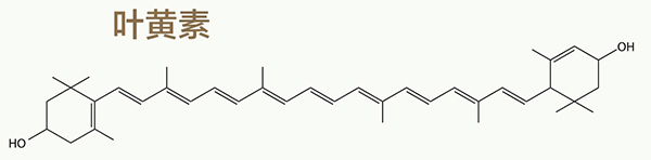 美乐家生命活力营养宝典-科学护眼 守住清晰力 美乐家生命活力营养宝典-科学护眼 守住清晰力