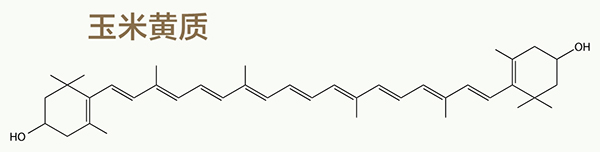 美乐家生命活力营养宝典-科学护眼 守住清晰力 美乐家生命活力营养宝典-科学护眼 守住清晰力