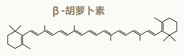 美乐家生命活力营养宝典-科学护眼 守住清晰力 美乐家生命活力营养宝典-科学护眼 守住清晰力