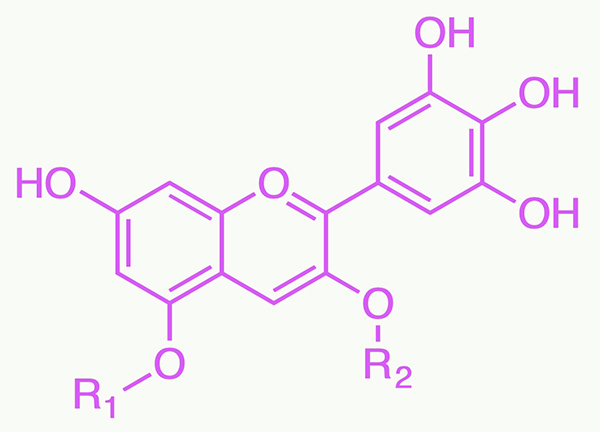 美乐家生命活力营养宝典-科学护眼 守住清晰力 美乐家生命活力营养宝典-科学护眼 守住清晰力