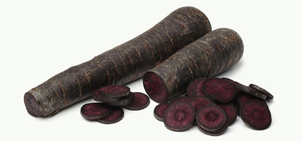 美乐家生命活力营养宝典-科学护眼 守住清晰力 美乐家生命活力营养宝典-科学护眼 守住清晰力