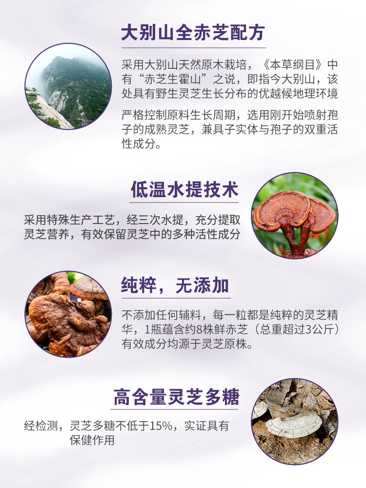 美乐家灵芝胶囊，调节免疫力，增强抵抗力