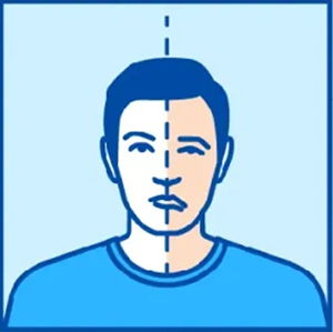 脑血管堵死之后就是脑梗