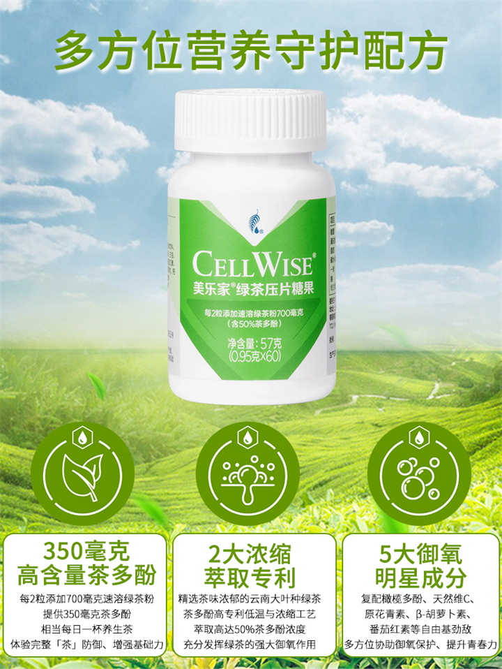 美乐家绿茶压片糖果