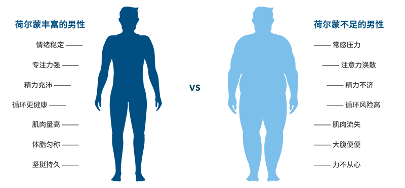 美乐家威格尔黑玛咖压片糖果 美乐家威格尔黑玛咖压片糖果