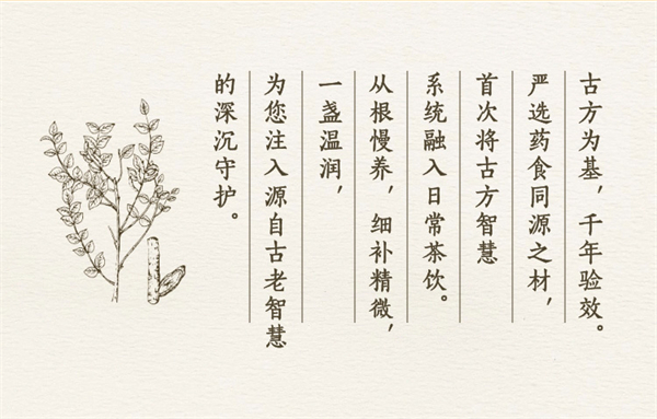 美乐家Hidden Garden桑叶茯苓茶