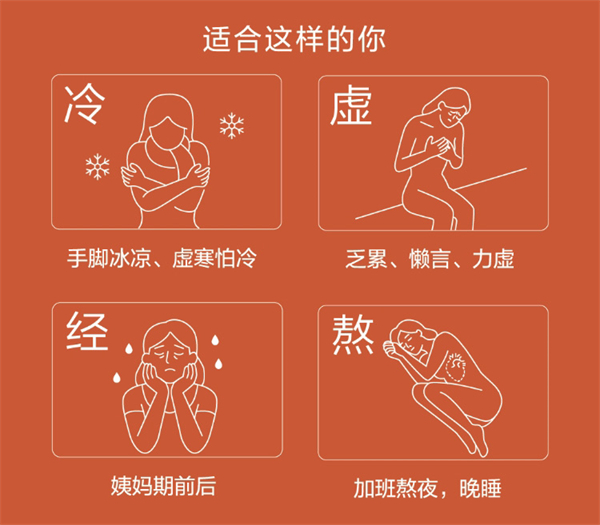 美乐家Hidden Garden参杞地黄茶