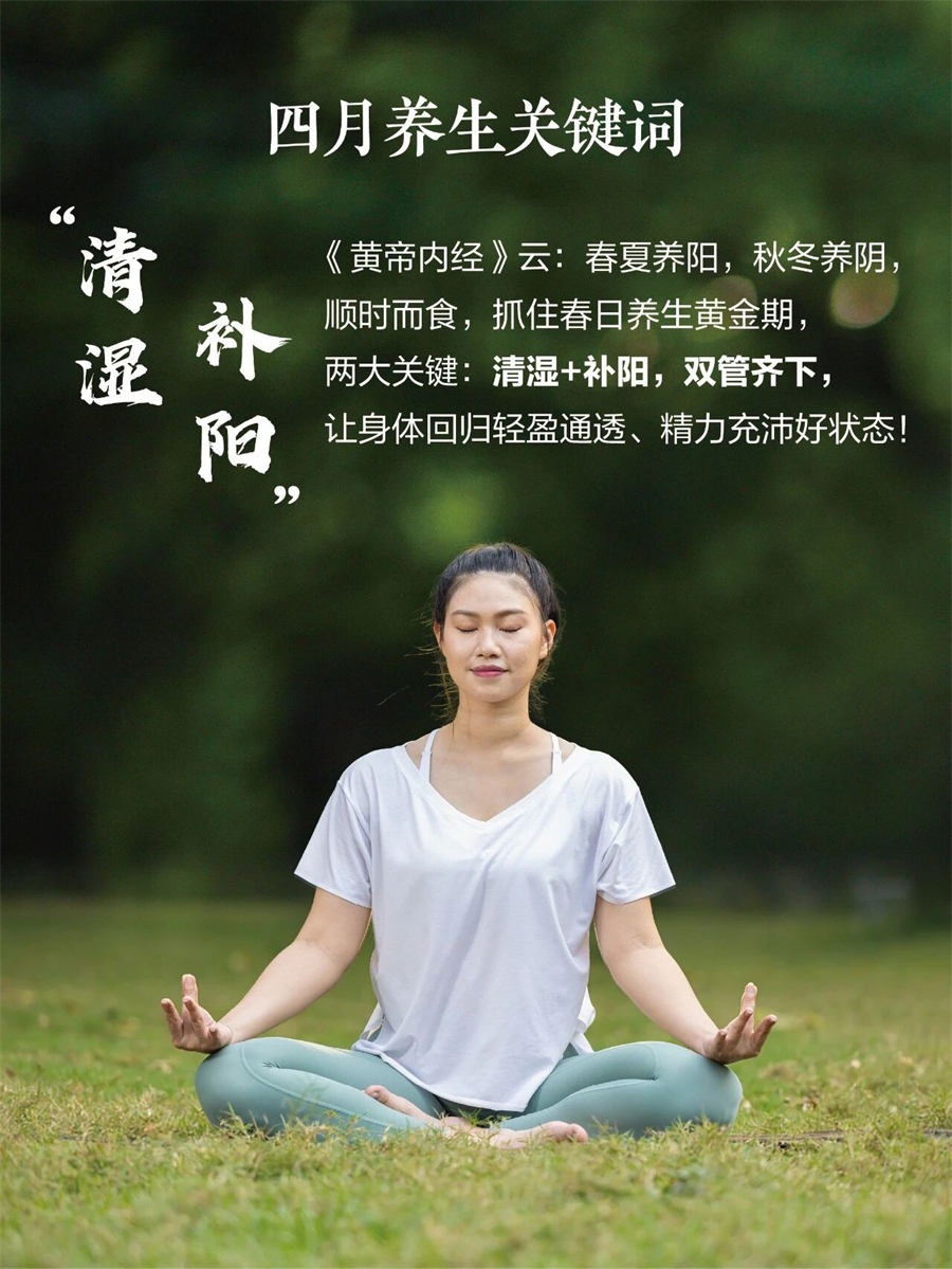 药食同源Hidden Garden精选茶