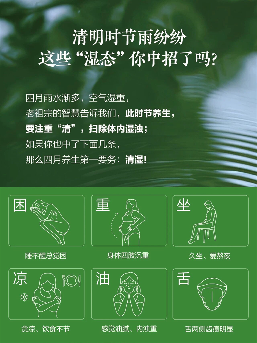 美乐家Hidden Garden桑叶茯苓茶