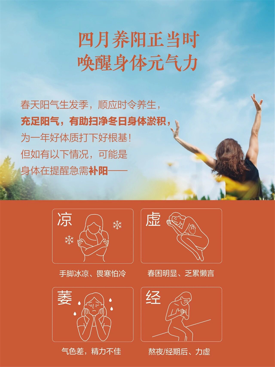 美乐家Hidden Garden参杞地黄茶